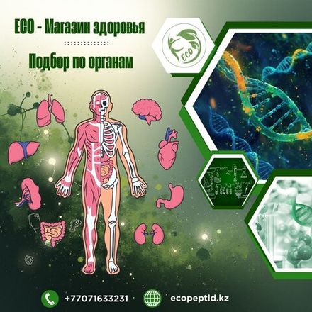 ПОДБОР ПРЕПАРАТОВ ПО ОРГАНАМ