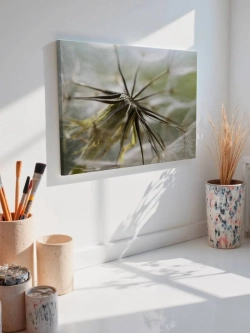Картина на стену 40 X 50 Одуванчик