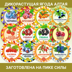 Сосновая почка.