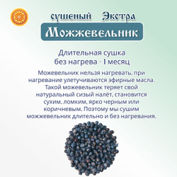 Можжевельник.