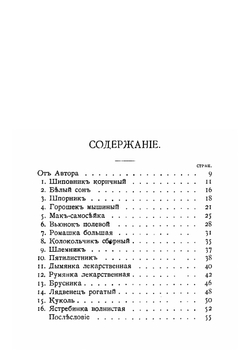 Наши летние цветы. Серия 3 | Кайгородов Дмитрий Никифорович