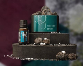 Набор «Праздничная свежесть» dōTERRA пассивный диффузор + масло «Равинтсара» (5 мл)