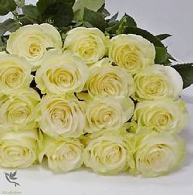 Розы