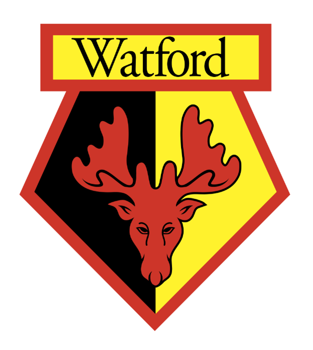 Уотфорд (футболка) - Легендарные джерси