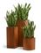 Кашпо TREEZ Effectory - серия Corten Steel - Цилиндр - Кортеновская сталь-Бархатистая окись