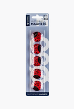 Набор для магнитной доски