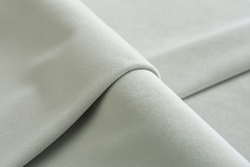 Микровелюр Kiton antarctica (Китон антарктика) 701