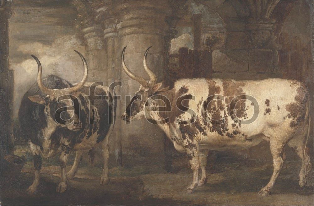 Фреска James Ward, Portraits of two extraordinary oxen the property of the Earl of Powis