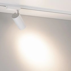 Светильник LGD-GERA-2TR-R74-20W Day4000 (WH, 24 deg, 230V) (Arlight, IP20 Металл, 5 лет) 055050