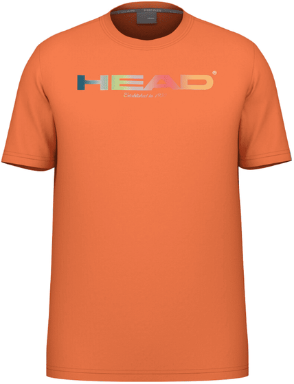 Футболка мужская Head Rainbow T-Shirt, арт. 811435-CN