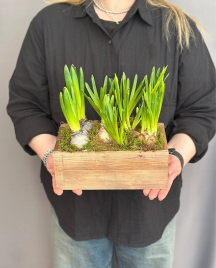 Hot garden offer #10р