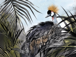 Коллекция Animality