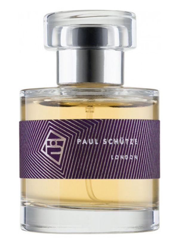 Paul Schutze Behind the Rain