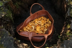 Тоут из кожи Weekender bag «Autumn Leaf»