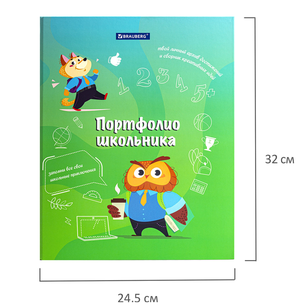 Папка-портфолио школьника "ОТЛИЧНИК" 4 кольца 20 файлов 10 вкладышей 7БЦ матовая BRAUBERG (3 штуки в упаковке)