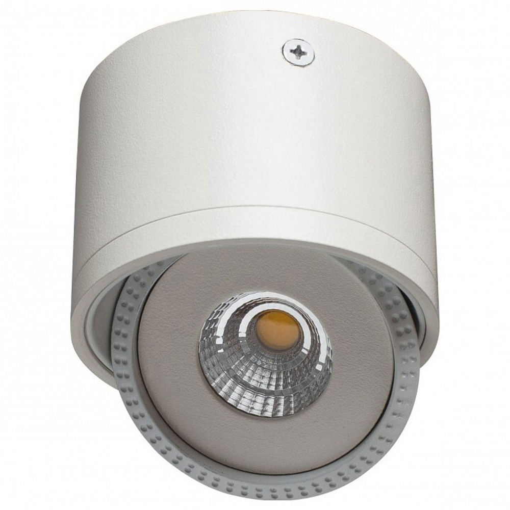 Накладной светильник Arte Lamp A4105PL-1WH