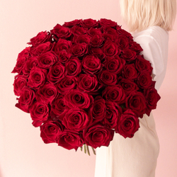 51 роза 70 см премиум