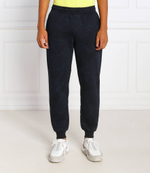 спортивные штаны Tommy Sport - темно-синий(MW0MW27562)