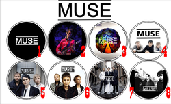 Значок Muse 36 мм ( в ассортименте )