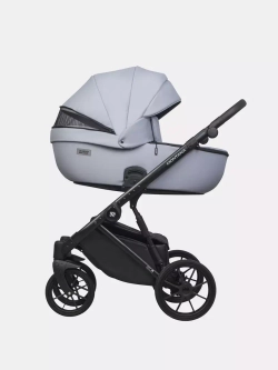 Коляска MONTANA ECCO (2 в 1) (RIKO BASIC)