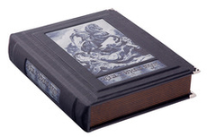 Витязь в тигровой шкуре. Руставели Ш.