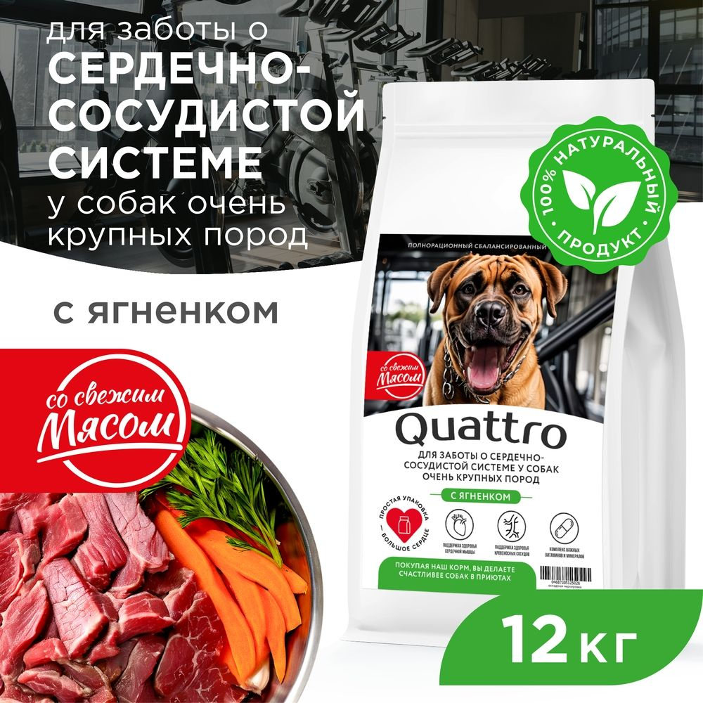 Корм сухой для взрослых собак очень крупных пород, премиум полнорационный комплекс, для сердечно-сосудистой системы, с ягненком, 12 кг, QUATTRO