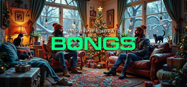 7 причин выбрать Bongs.ru