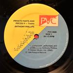 Anthony Phillips - Private Parts And Pieces V - Twelve (США 1985г.)