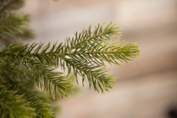 Ель Уэльская 120см зеленая Triumph Tree