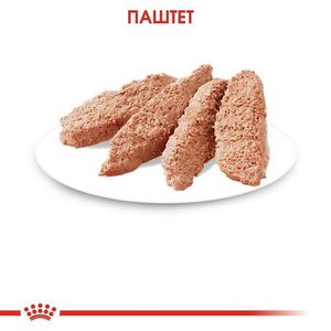 Пауч для кошек старше 12 месяцев, Royal Canin Instinctive (в паштете)