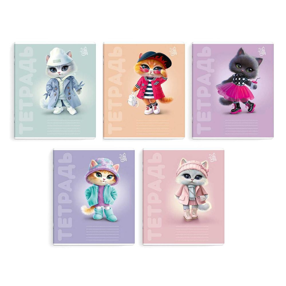 Тетрадь А5 12л. линия "Городские кошечки" УФ-лак, мелов.картон, ассорти (Феникс+)