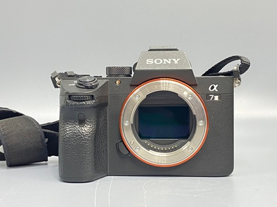 Sony A7 III 22000 кадров
