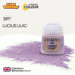Citadel Dry: Lucius Lilac