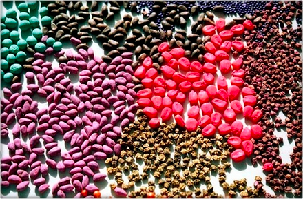 Дэлит Макс, КС (250+250г/л)
