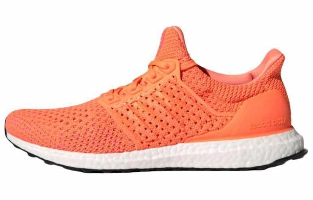 Кроссовки Adidas Ultraboost Clima Dna