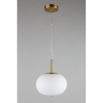 Подвесной светодиодный светильник Aployt Adeli APL.646.06.15