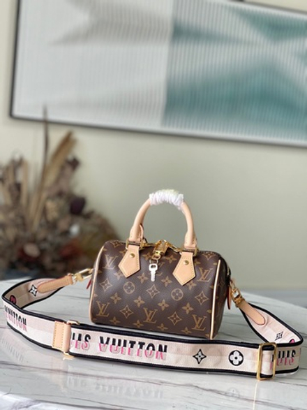 Louis Vuitton Speedy 20