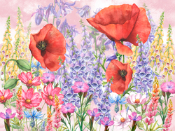 MORNING DEW 5
