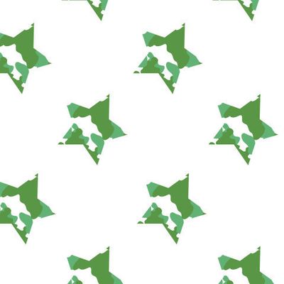 звездный узор с камуфляжным рисунком на белом фоне