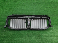 Решетка радиатора BMW 7er G11 G12 (2015-2019)