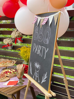 BBQ Party
