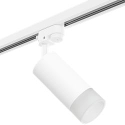 Светильник на штанге Lightstar Rullo R1T43631