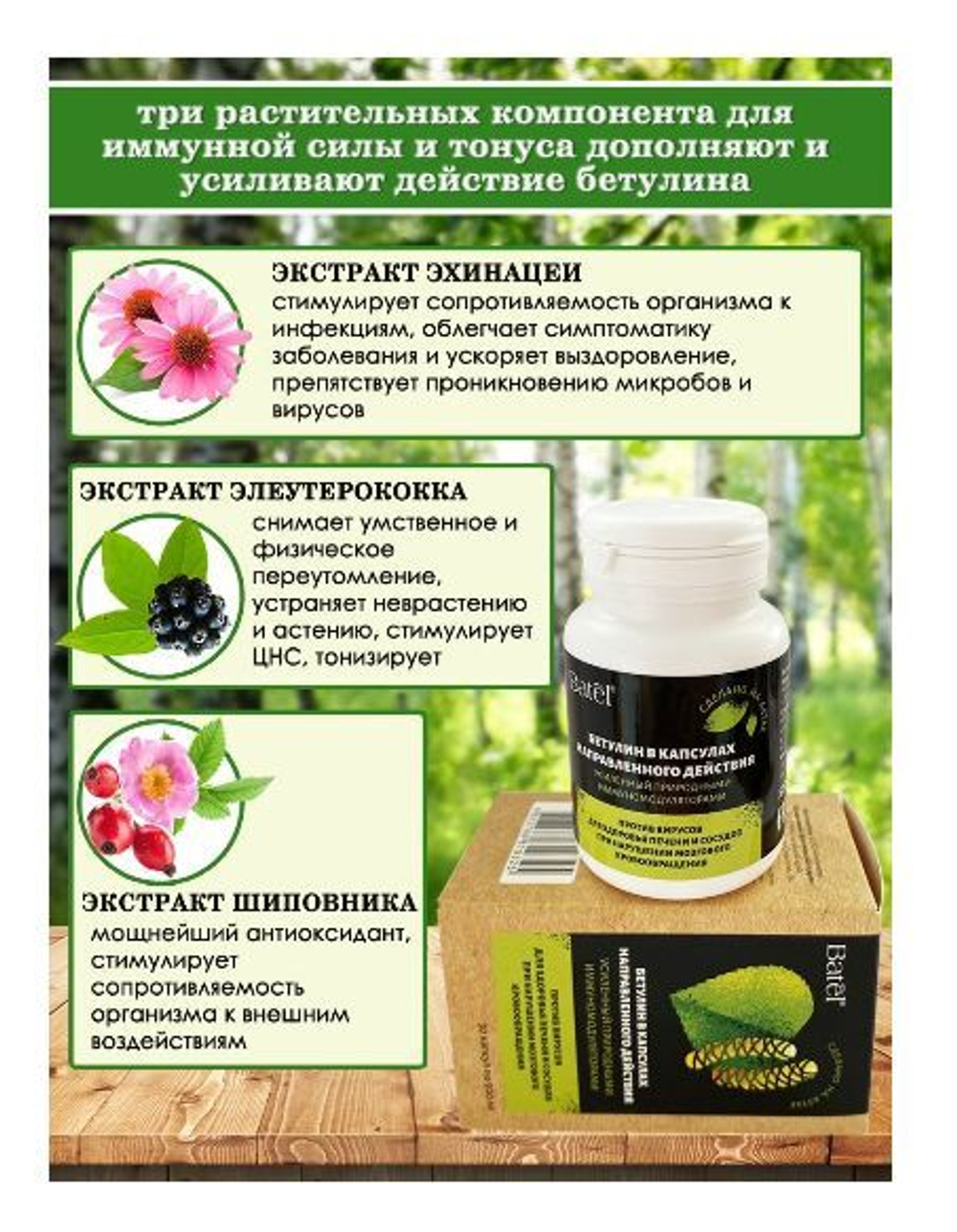 Batel. Бетулин, усиленный природными иммуномодуляторами