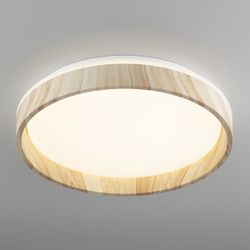 Citilux ENZO CL753352G LED RGB Светильник с пультом Клён