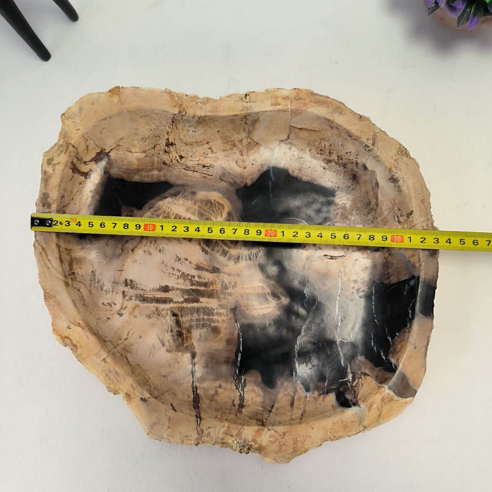 Набор из окаменелого дерева 4 предм Fossil Set NF-63072 поднос 30см*33см