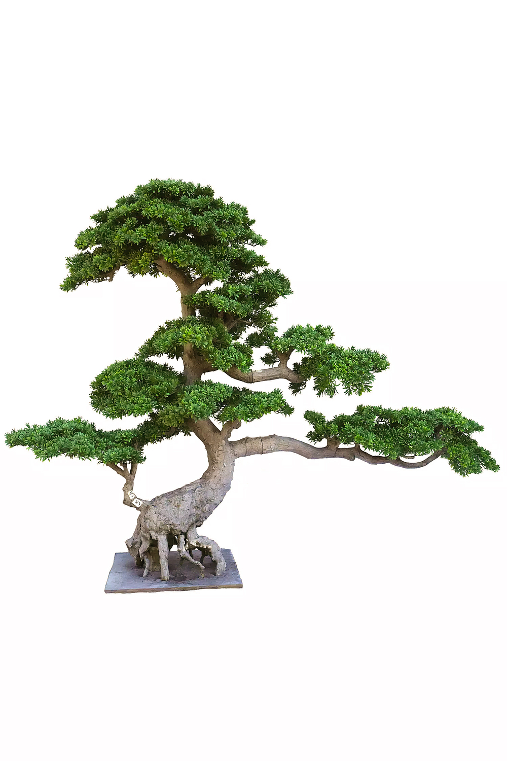 Бонсай 190 см - Зеленый
