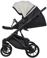 Детская коляска Riko Basic Montana X Ecco 2 в 1 31 Light Silver-Black (св.серый-черный)