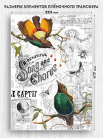 Трансфер для декупажа переводной рисунок для поверхностей винтажный 015