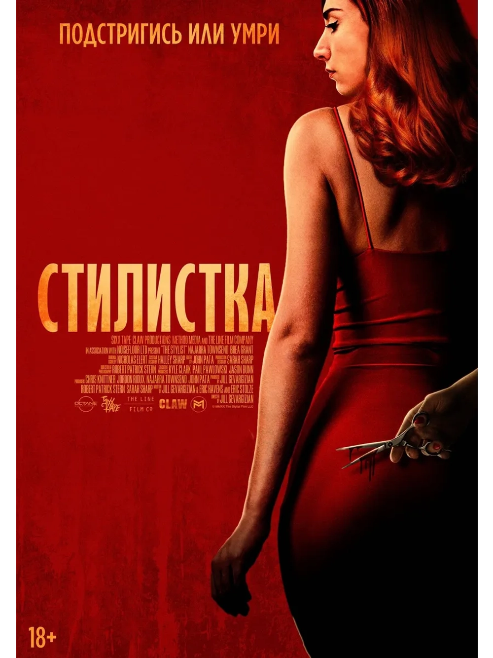Стилистка (2020) (DVD-R)