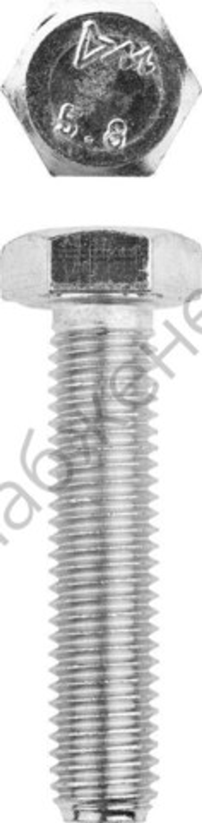 ЗУБР ГОСТ 7798-70 кл. пр. 5.8, M12 x 55 мм, болт оцинкованный, 5 кг (303080-12-055)